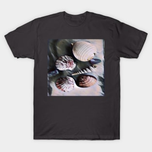 Seashells T-Shirt